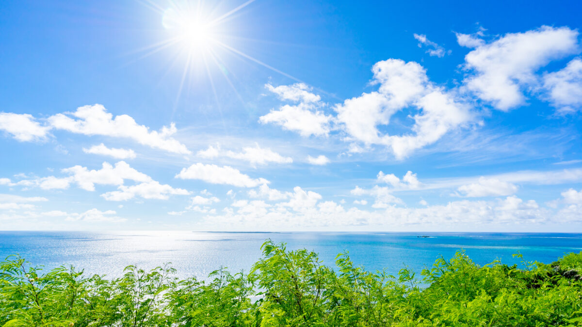 空と海と緑